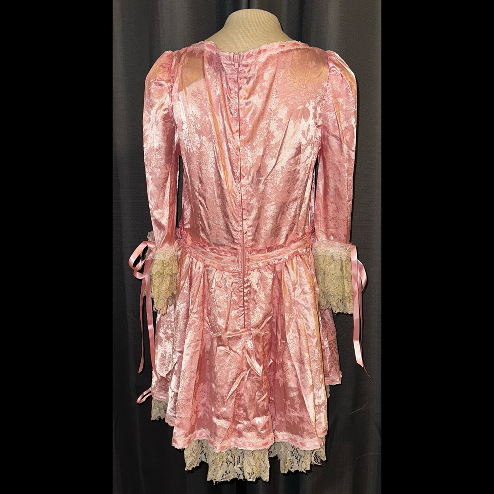 Trickz N Treatz Dolls Kill ‘CAKE QUEEN’ Marie Antoinette Pink Dress Costume XL - Picture 2 of 11